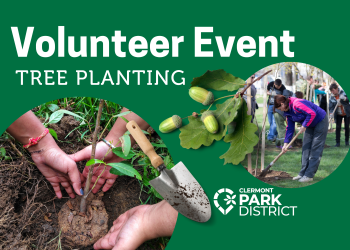 habitat restoration--tree planting volunteer event